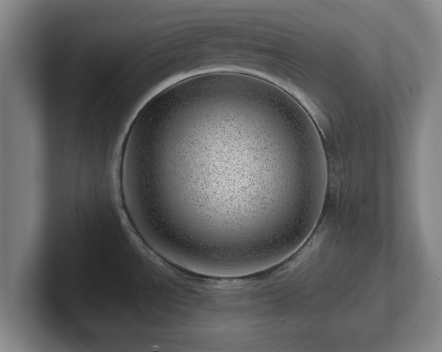 X0000101961534200807251144