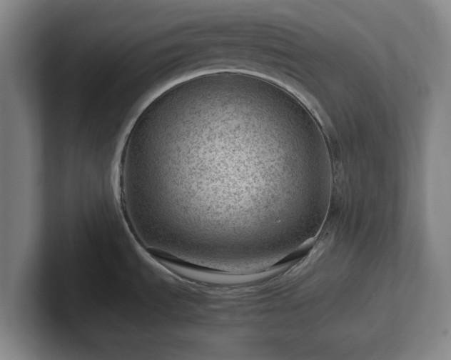 X0000101961535200807251144