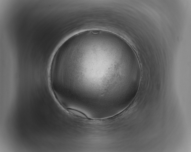 X0000101961536200807251144