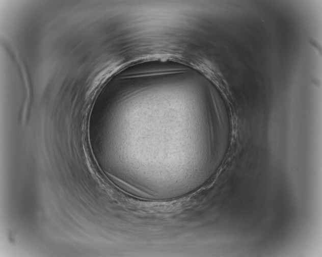 X0000101960001200808011118