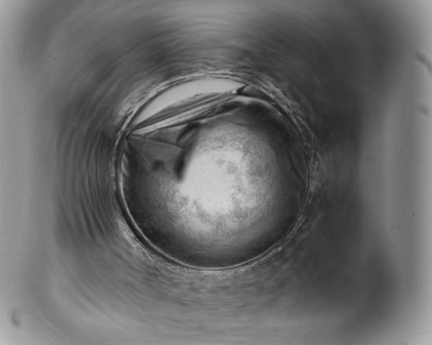 X0000101960002200808011118