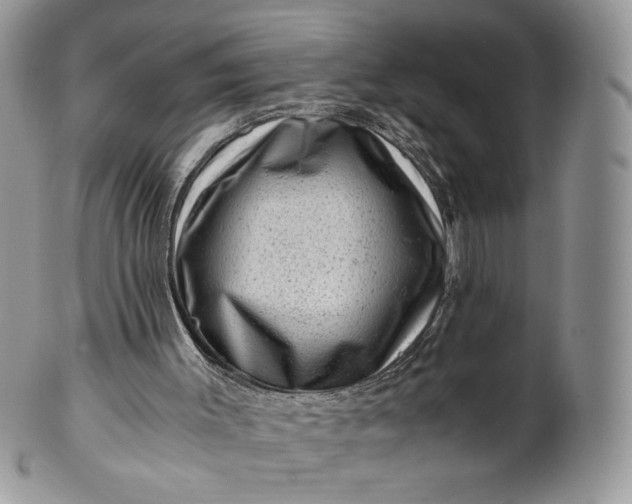 X0000101960003200808011118