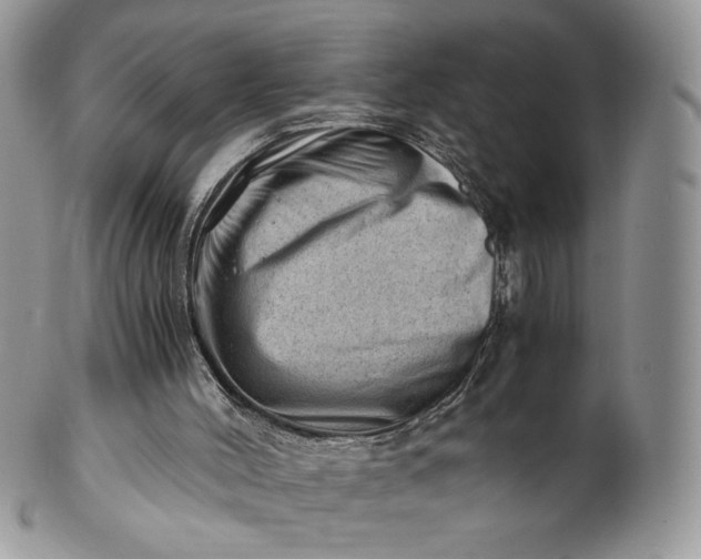 X0000101960004200808011118