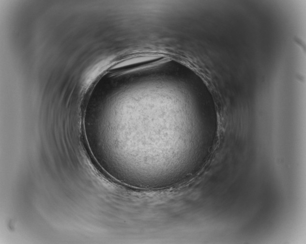 X0000101960005200808011118