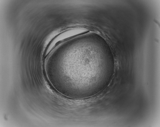 X0000101960006200808011118