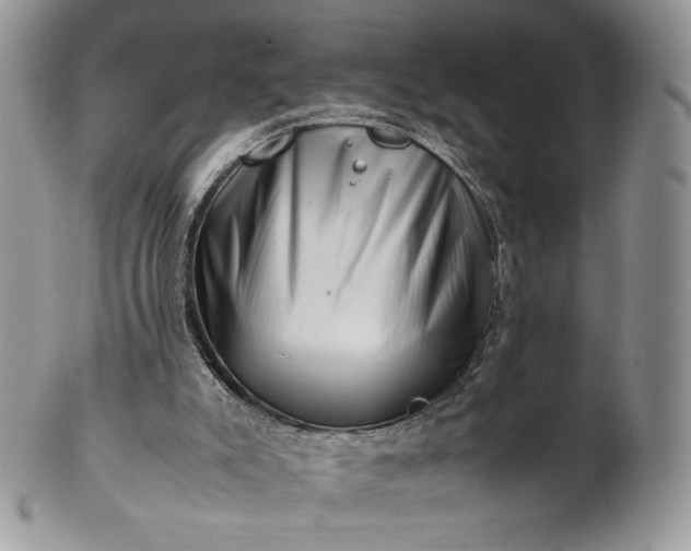 X0000101960007200808011118