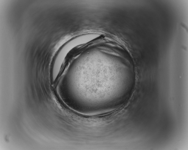 X0000101960008200808011118