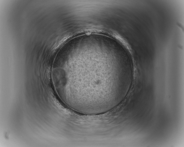 X0000101960009200808011118