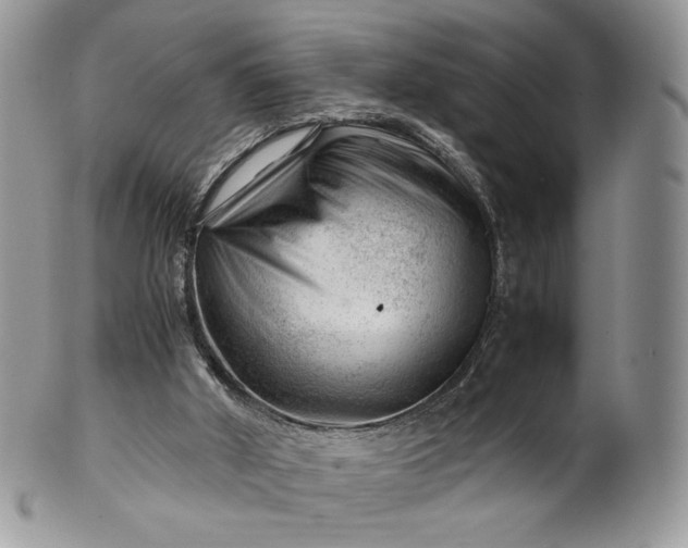 X0000101960010200808011118