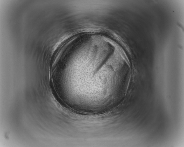 X0000101960011200808011118