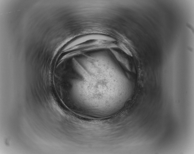 X0000101960012200808011118