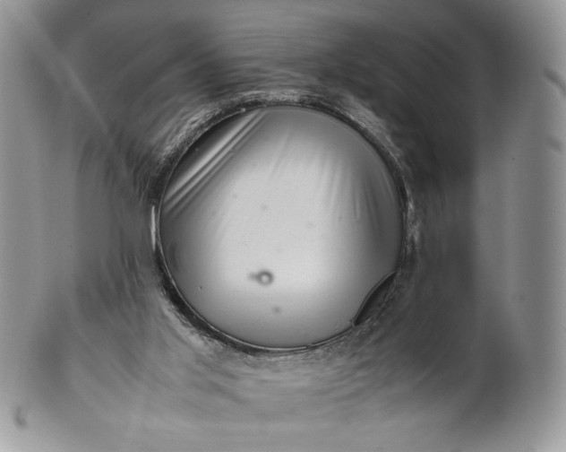 X0000101960013200808011118