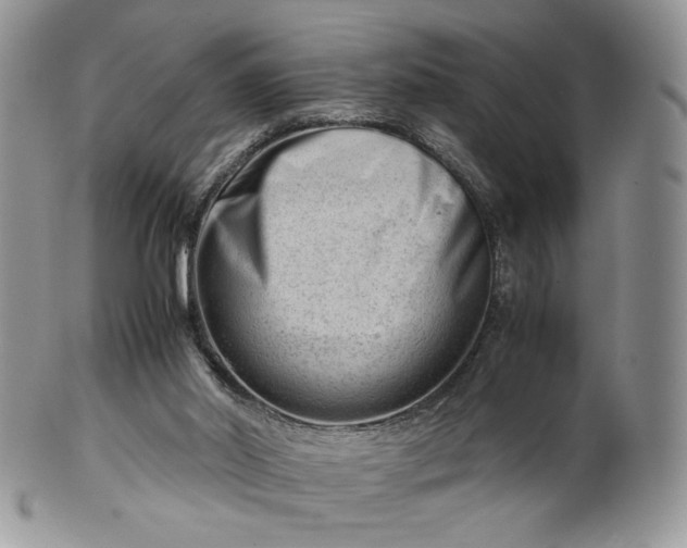 X0000101960014200808011118