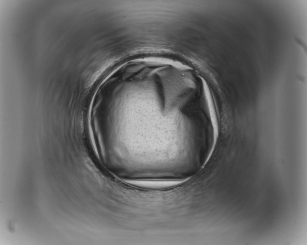 X0000101960015200808011118