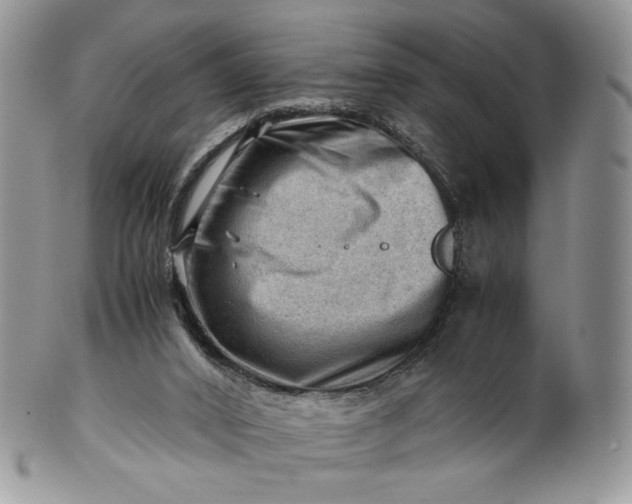 X0000101960016200808011118