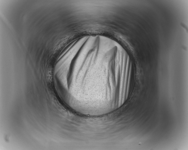 X0000101960017200808011118