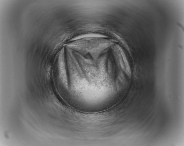 X0000101960018200808011118