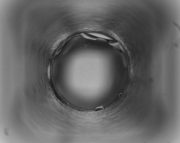 X0000101960019200808011118