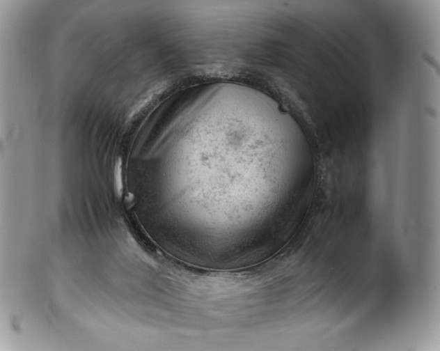 X0000101960020200808011118