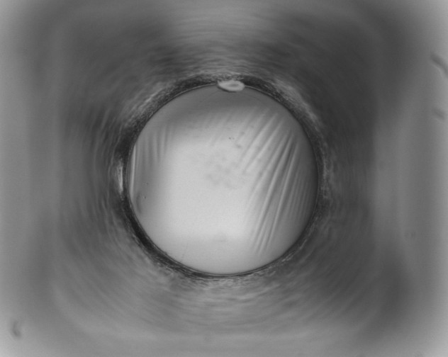 X0000101960021200808011118