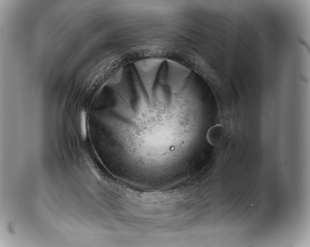 X0000101960022200808011118