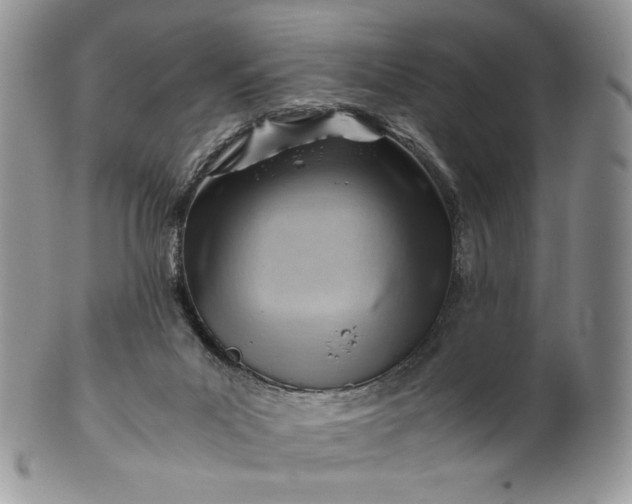 X0000101960023200808011118