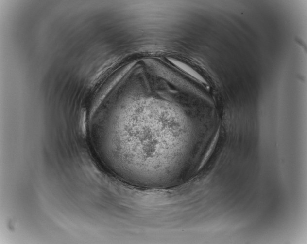 X0000101960024200808011118