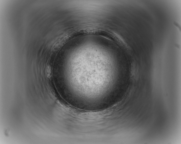 X0000101960025200808011118