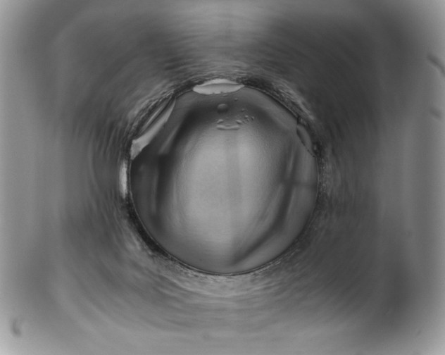 X0000101960027200808011118