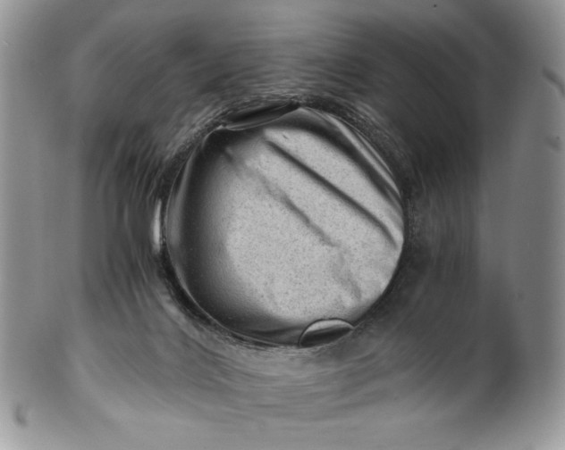 X0000101960028200808011118