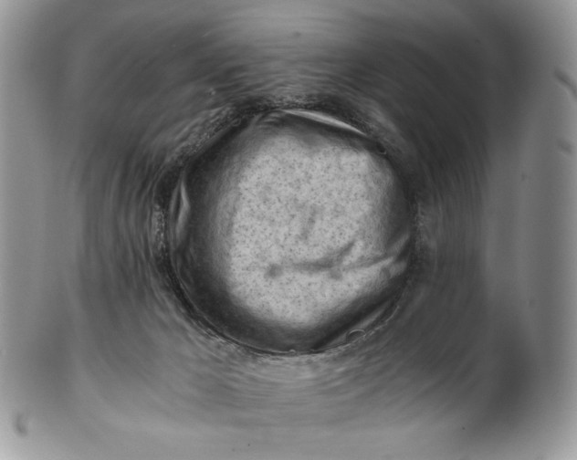 X0000101960029200808011118