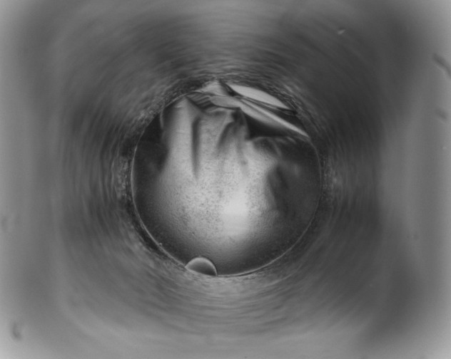 X0000101960030200808011118