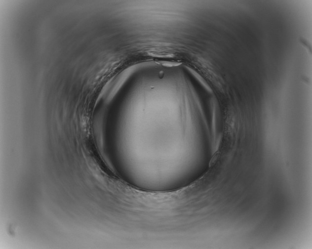 X0000101960031200808011118