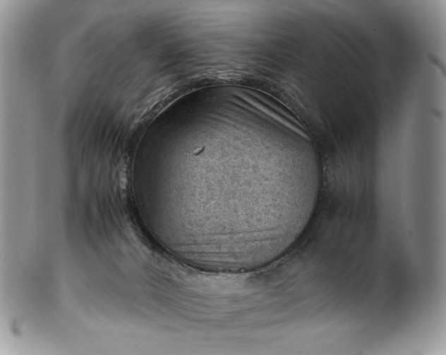 X0000101960032200808011118