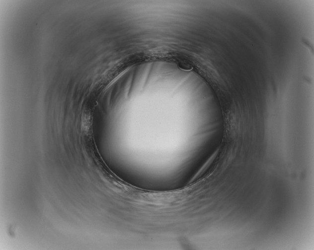 X0000101960033200808011118