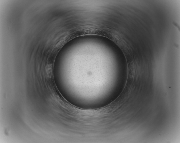 X0000101960034200808011118