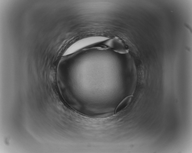 X0000101960035200808011118