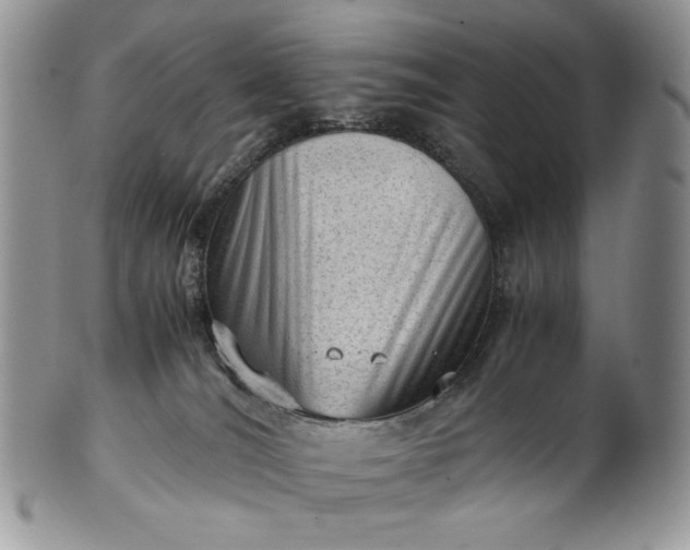 X0000101960036200808011118