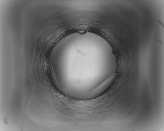 X0000101960037200808011118