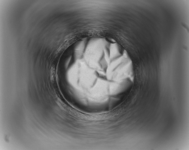 X0000101960038200808011118