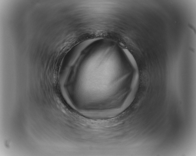 X0000101960039200808011118