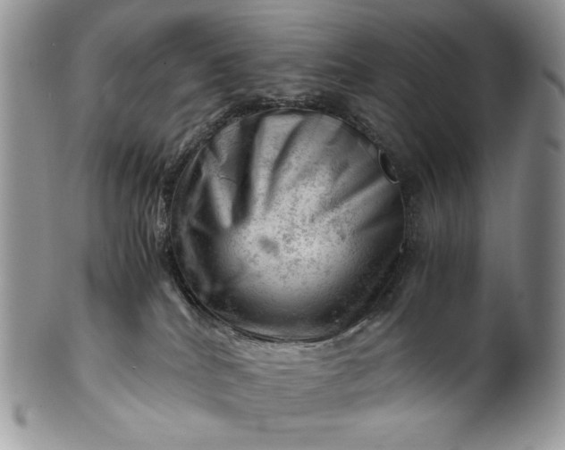 X0000101960040200808011118