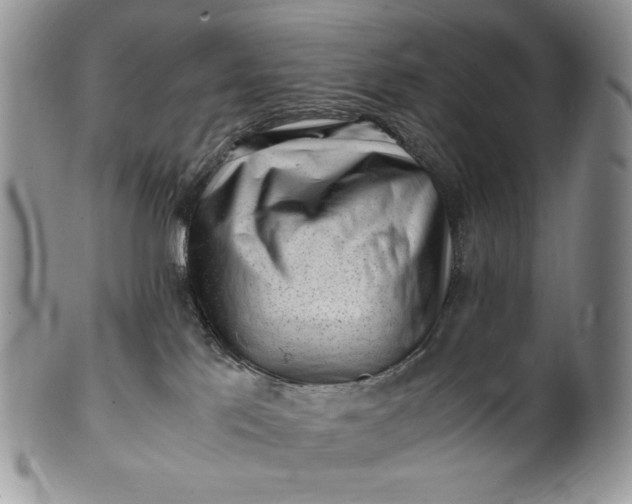 X0000101960041200808011118