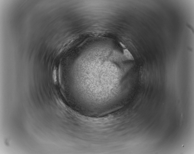 X0000101960042200808011118