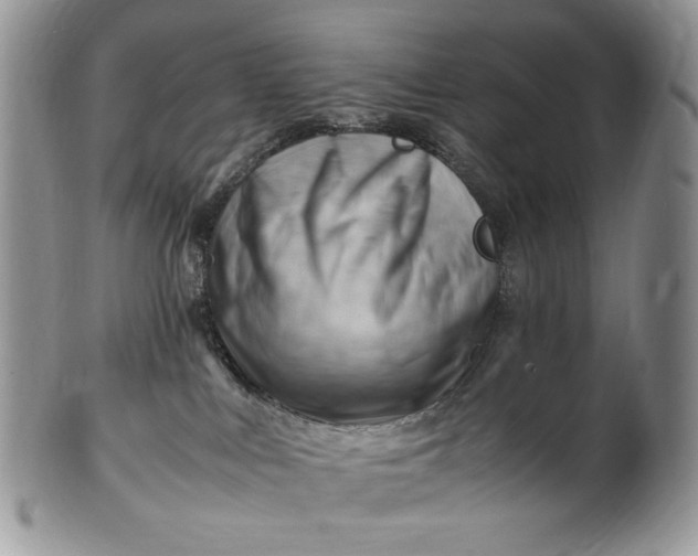 X0000101960043200808011118