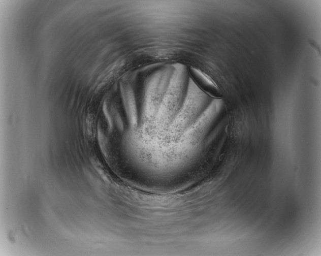 X0000101960044200808011118