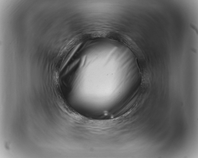 X0000101960045200808011117