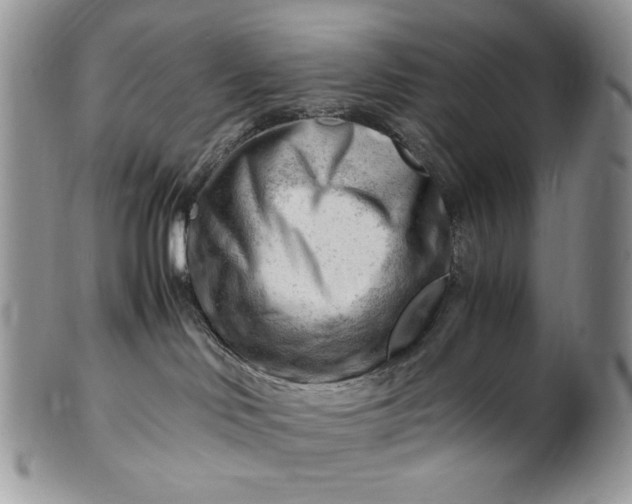 X0000101960046200808011117