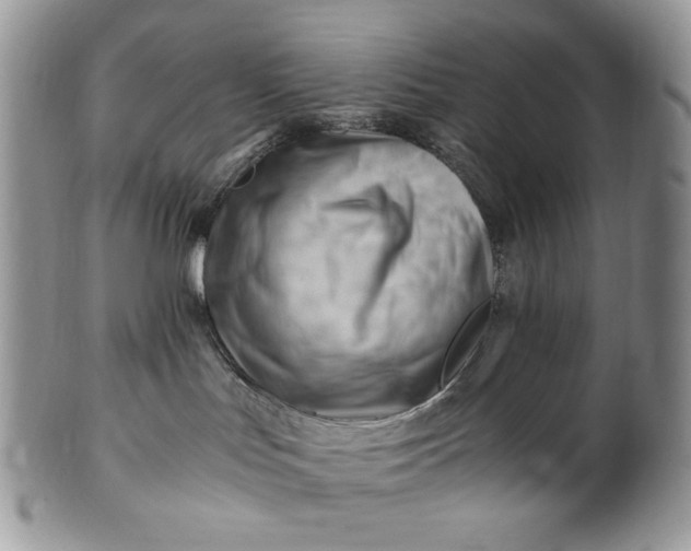 X0000101960047200808011117