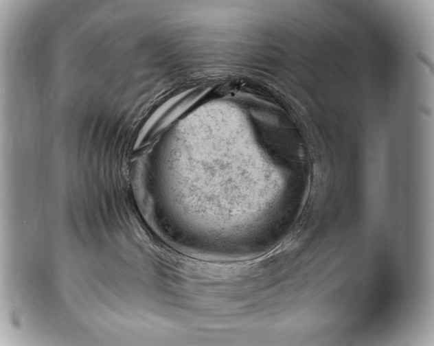 X0000101960048200808011117